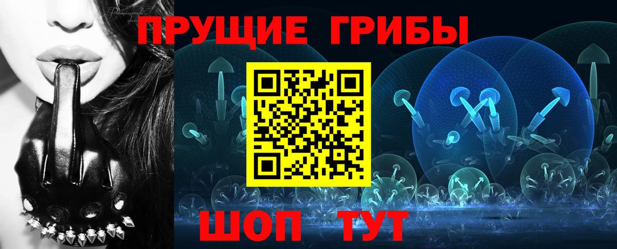 Псилоцибиновые грибы Psilocybine cubensis  Вход с VPN  Михайловск  Псилоцибиновые грибы ЛСД 